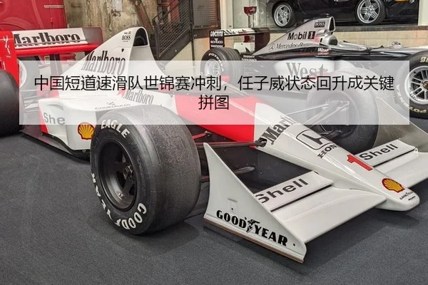 中国短道速滑队世锦赛冲刺，任子威状态回升成关键拼图