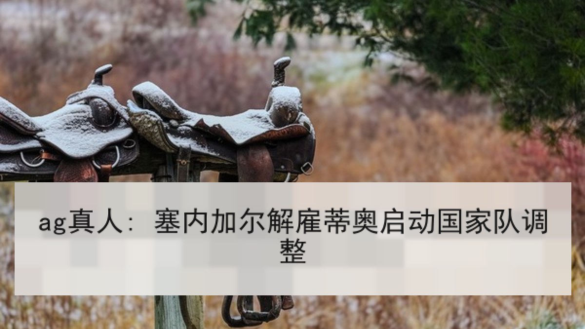 ag真人: 塞内加尔解雇蒂奥启动国家队调整 ag真人: 塞内加尔解雇蒂奥启动国家队调整