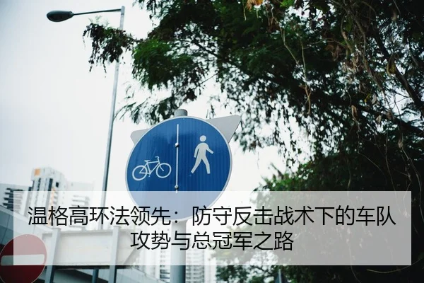 温格高环法领先：防守反击战术下的车队攻势与总冠军之路