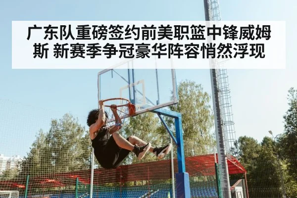广东队重磅签约前美职篮中锋威姆斯 新赛季争冠豪华阵容悄然浮现