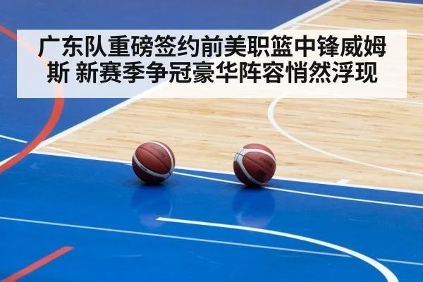 arena basketball game